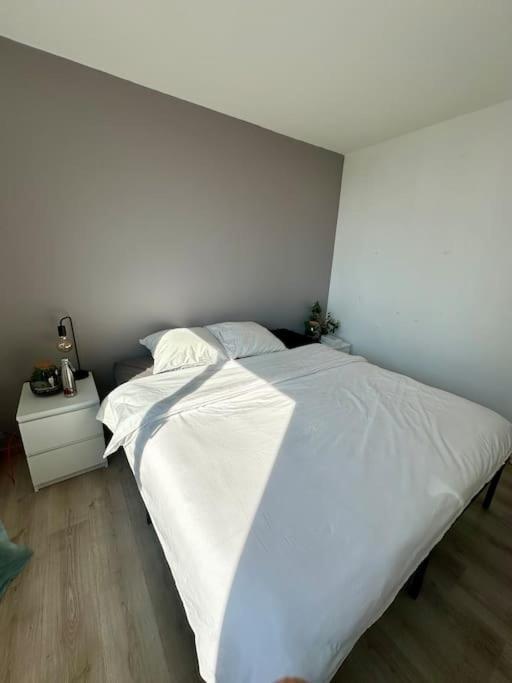 Moderne, Spacieux Et Lumineux Apartment